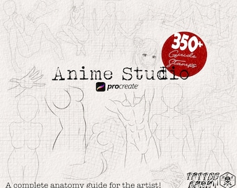 The Anime Studio bundle / 350-400 guide anatomy stamp brushes, XXL creative set!