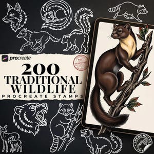 May include: A digital collection of 200 traditional wildlife Procreate stamps featuring white line art illustrations of various animals including foxes, bears, and raccoons, alongside a colored illustration of a marten climbing a tree branch.