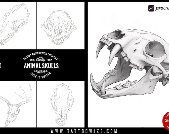 Procreate and .png, Artist Reference Library ~ animal skull references, original art for Procreate, artistic references, animal skulls