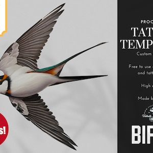 The bird project - Bird references, designs and templates for Procreate