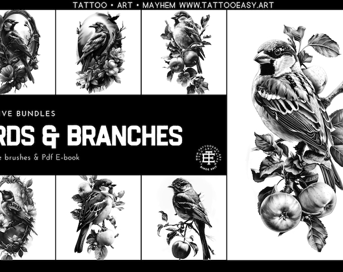 Birds & Branches - references for artists, Procreate and Pdf