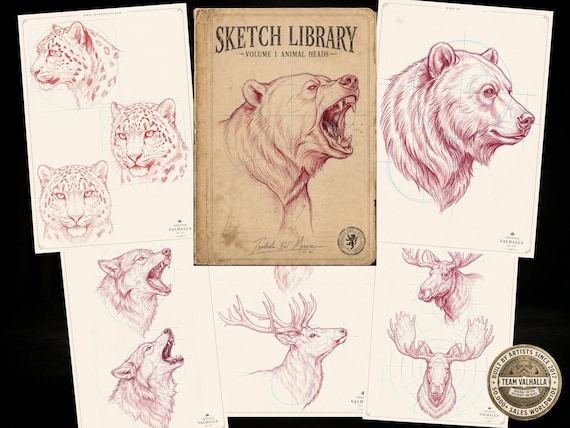 Sketch Library Animal Heads, 69 pages Animal portrait sketchbook, custom art inspiration