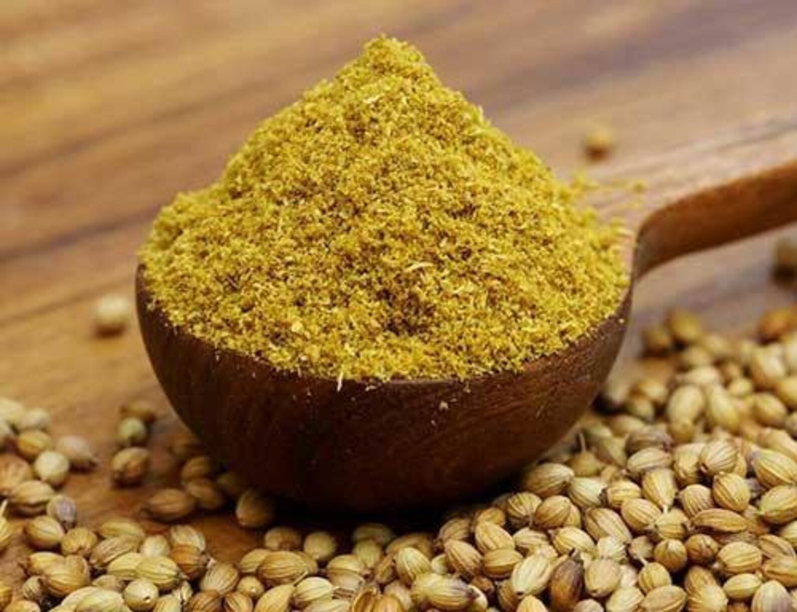 100 Natural Organic Coriander Seeds / Daniya Seeds Whole & Etsy