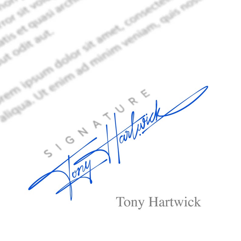 Above Signature Custom Signature Design: Digital Signature - Etsy
