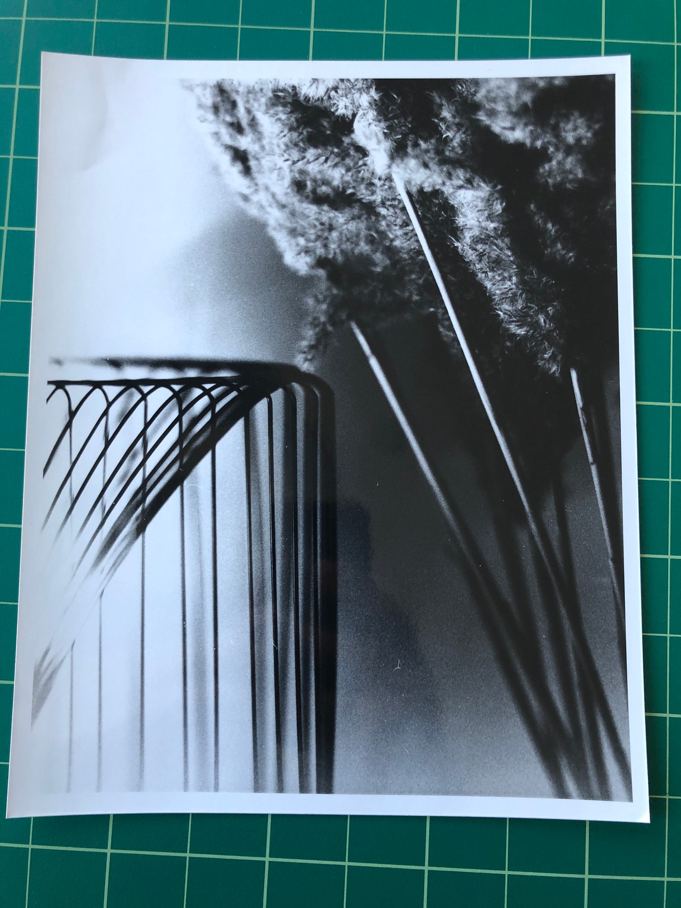 Darkroom Print Etsy