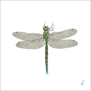4 Individual Dragonfly Decoupage Napkins. Dragonfly paper craft napkin, for decoupage, scrapbook, mixed media, general craft