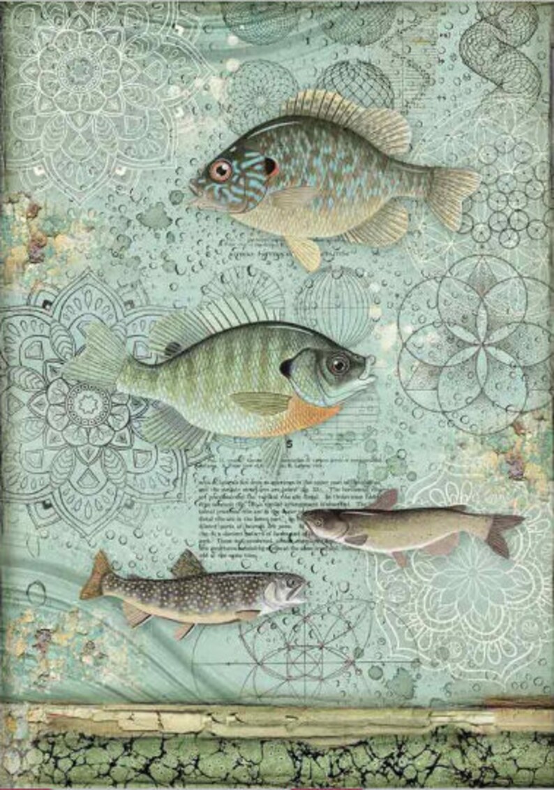 mixed media A4 Rice paper sheet general craft nautical style scrapbook sheet Vintage fish and mandalas decoupage paper