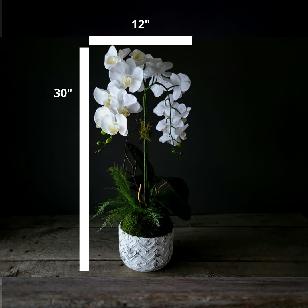 White Orchid Real Touch Faux Flowers in Vase Artificial Etsy