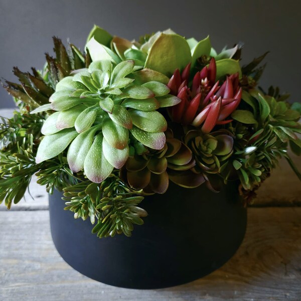 Succulent Centerpiece Etsy