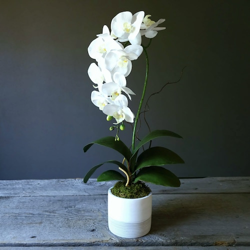 Artificial Real Touch Phalaenopsis Orchid Arrangement With Etsy