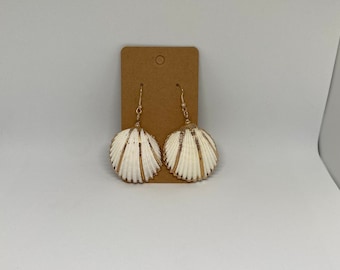 Natural Shell Dangle Earrings with gold accents