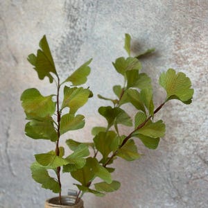 Puede incluir: Un arreglo decorativo de hojas verdes de ginkgo en tallos marrones en un jarrón envuelto con hilo. Las hojas tienen una apariencia texturizada y están dispuestas en un estilo natural y orgánico. El jarrón es de color neutro.