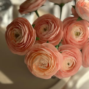 Ranuncolo di carta crespa per decorare la casa, regalo di bouquet di fiori di carta, fiori di carta color pesca per vaso, decorazione di bouquet di ranuncoli di lunga durata