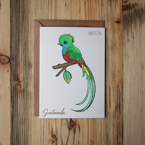Quetzal print | Guatemala print | 5” x 7” print