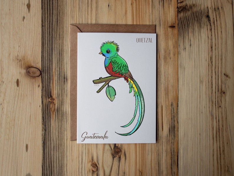 Quetzal print Guatemala print 5 x 7 print image 1