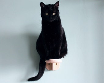 Escaliers d’escalade de chat montés au mur, échelle de chat flottante, 1 marche de chat personnalisée pour le mur, cadeau d’amant de chat, marches murales de chat en laine et contreplaqué