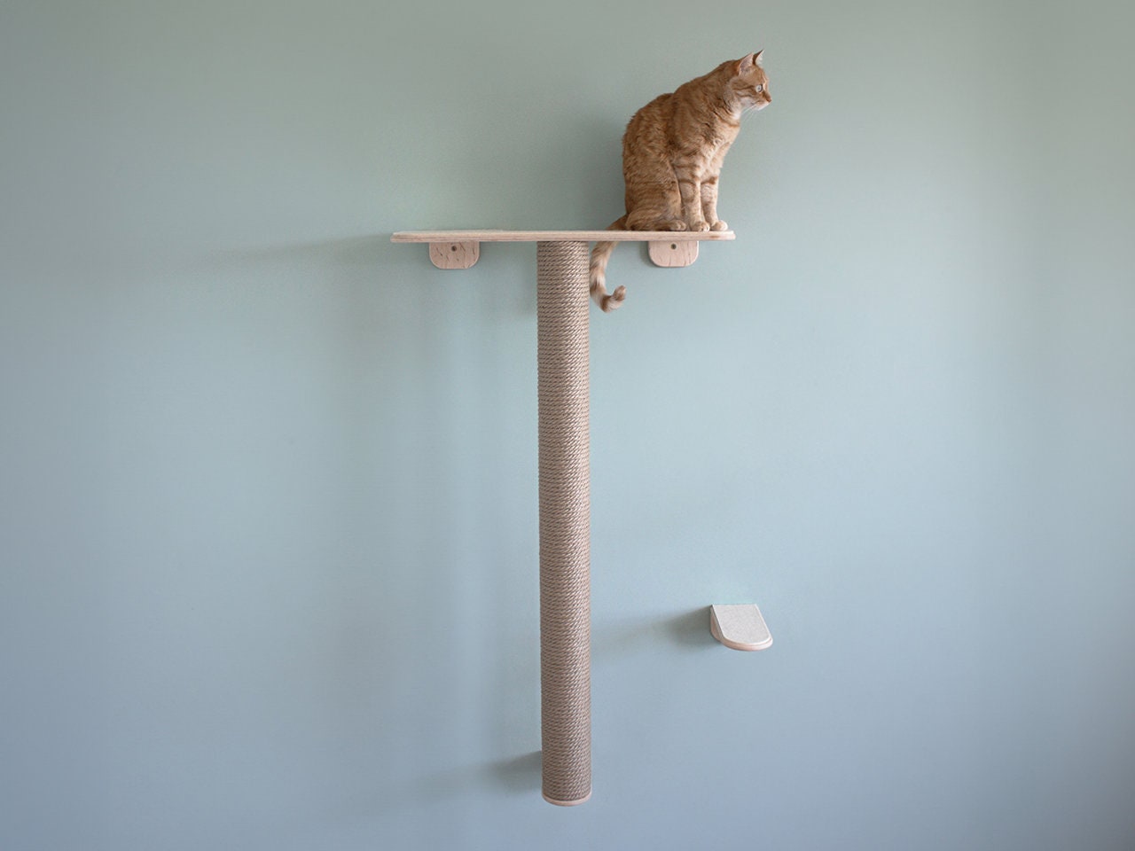 Meubles pour animaux de compagnie cadre d'escalade en bois chat mur  escaliers tour d'arbre de chat pendent chaton jouet maison d'escalade cadre  avec garde-corps
