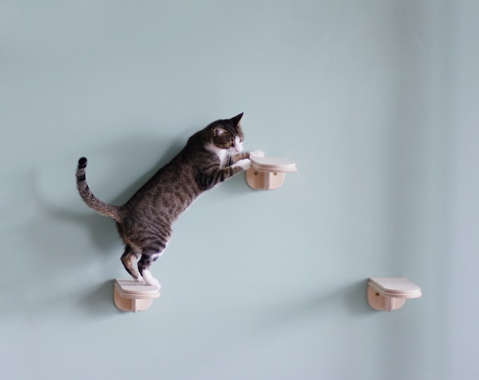 Set of 3 Cat Steps for Wall, Wall Mounted Cat Climbing Steps Stairs, Floating Cat Ladder, Cat Lover Gift, Wool and Plywood Cat Wall Steps,