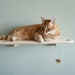 see more listings in the Escaliers et étagères pour chats section