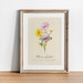 see more listings in the Birth Flowers section