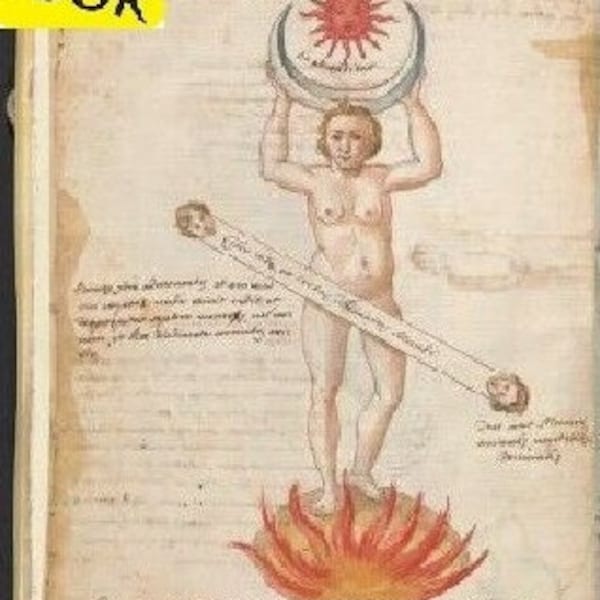 Collection of Alchemical Manuscripts (2 books) Medieval Alchemy Manuscript Antique book Vintage PDF e-Book Book Digital Instant Download