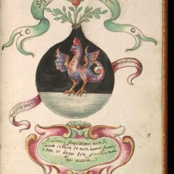 Alchemical Manuscripts Collection Medieval Alchemy Manuscript Antique Book Vintage Texts PDF e-Book Book Digital Instant Download (2 books)