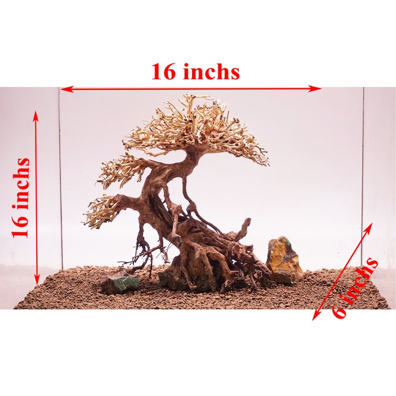 Kleine Bonsai Aquarium Treibholz Moos Baum GH32 Aquarium Etsy