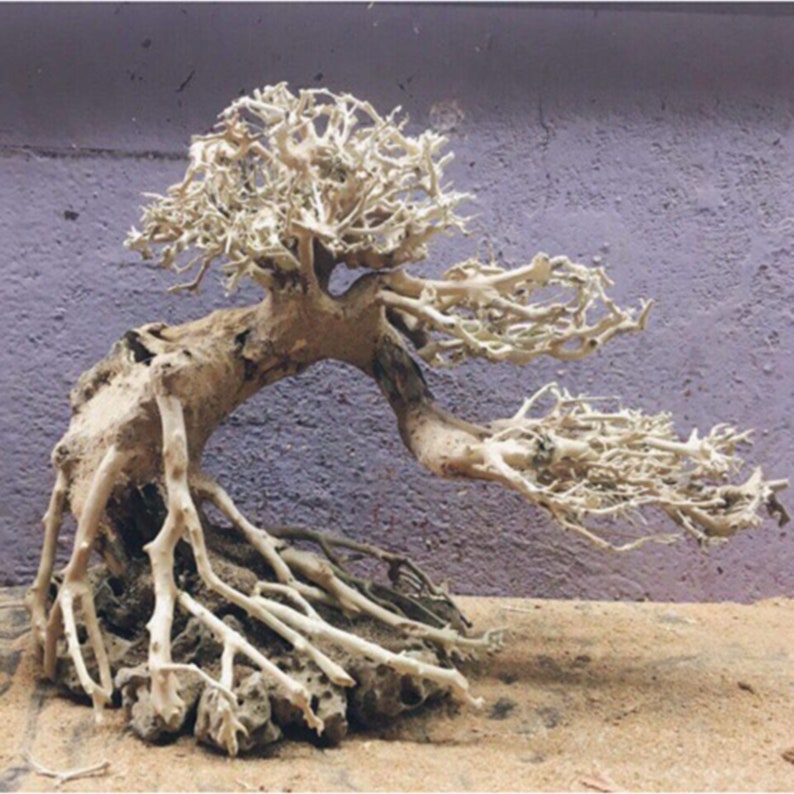 Aquarium bonsai boom Aquarium drijfhout Aquarium decoratie Etsy