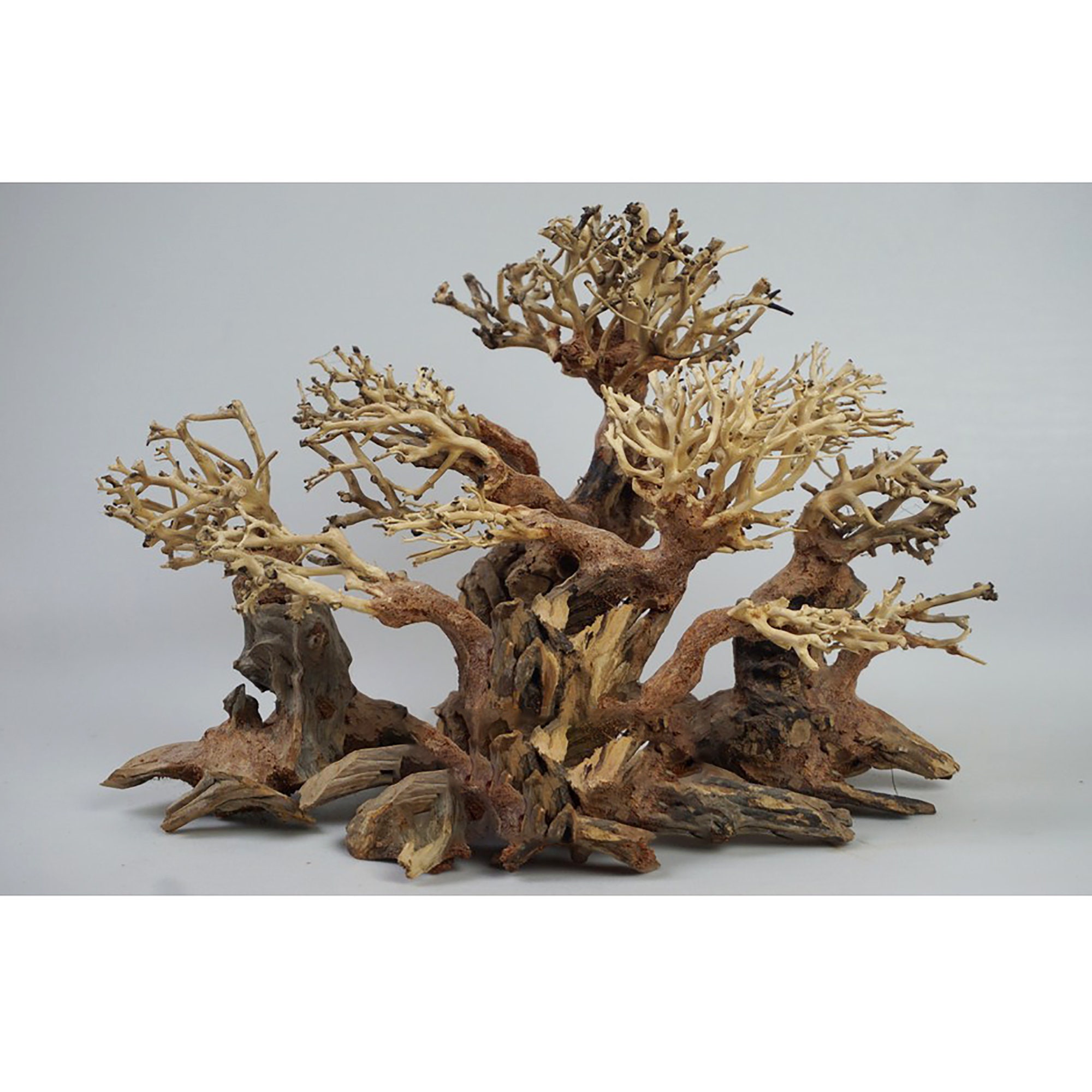 Aquarium Bonsai Tree LBS4 Aquarium Root Wood Large Bonsai Etsy