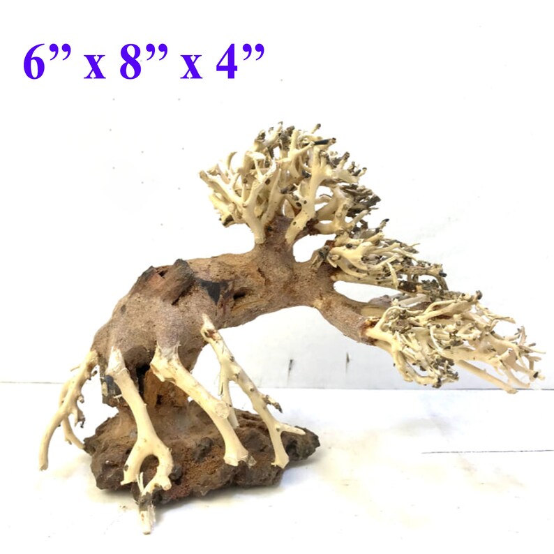 Aquarium bonsai boom Aquarium drijfhout Aquarium decoratie Etsy