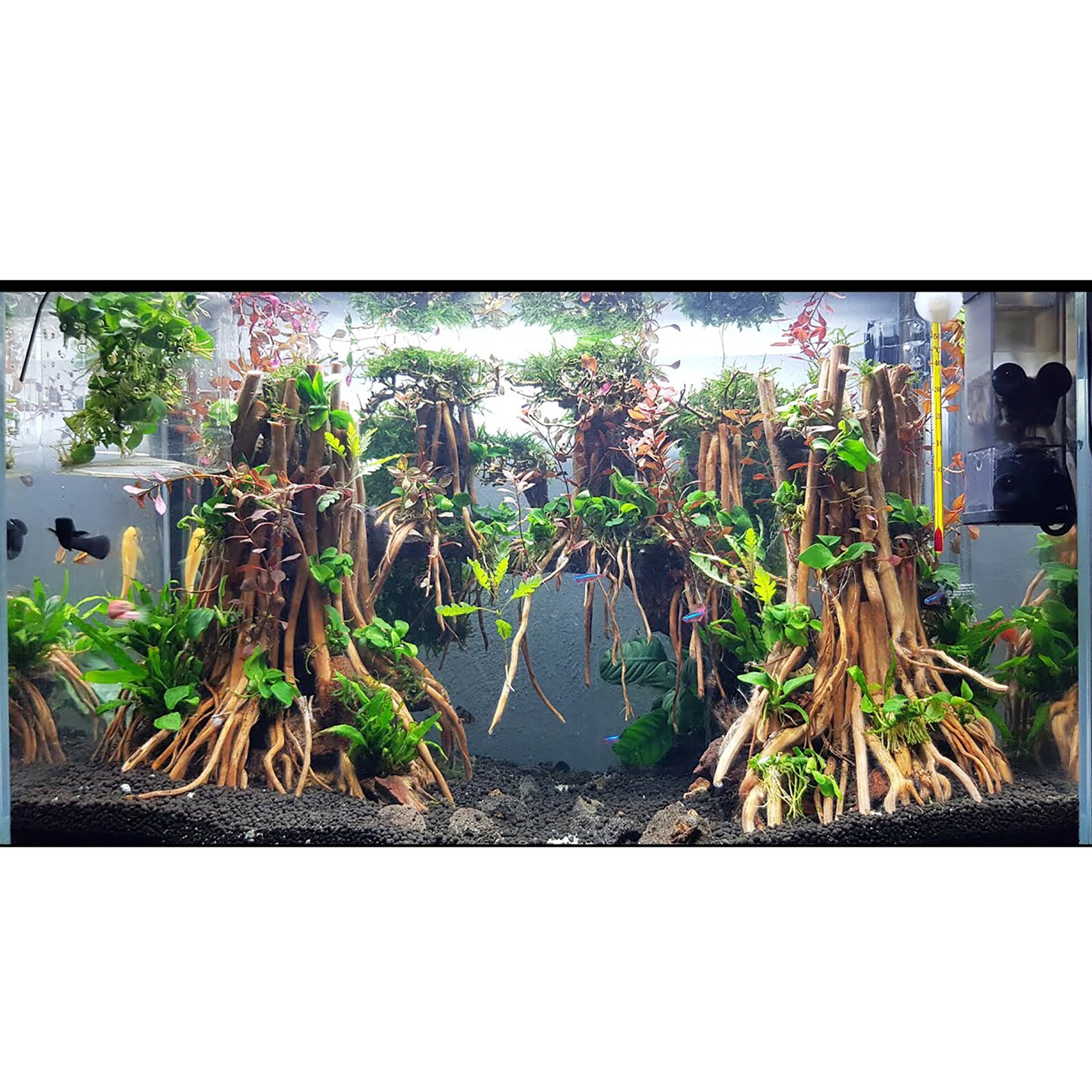 Extra Large Aquarium Decoration Aquarium Flying Jungle Layout Etsy