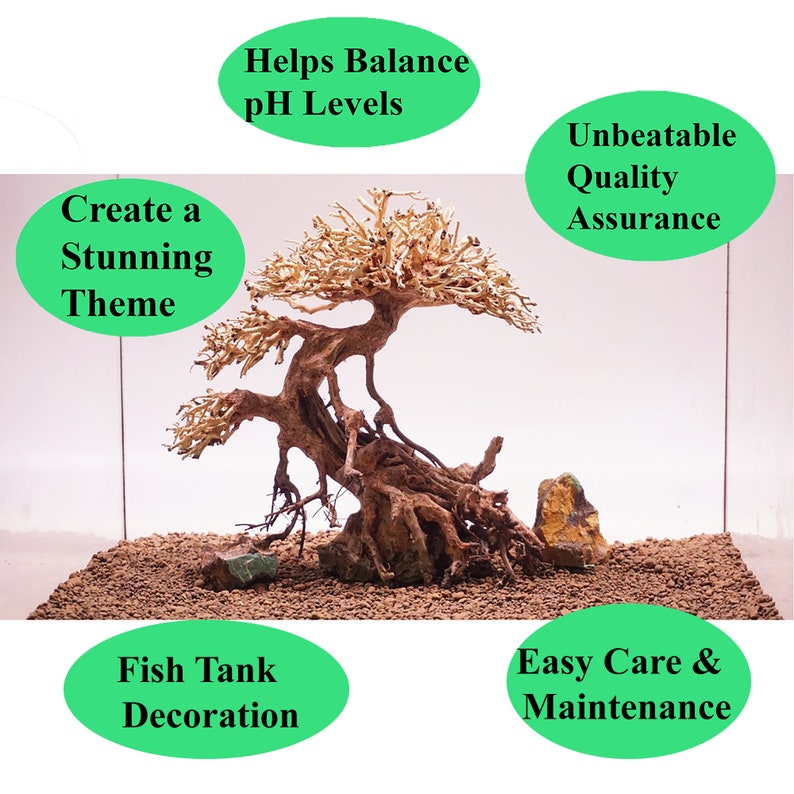 Small Bonsai Aquarium Driftwood Moss Tree GH32 Aquarium Etsy