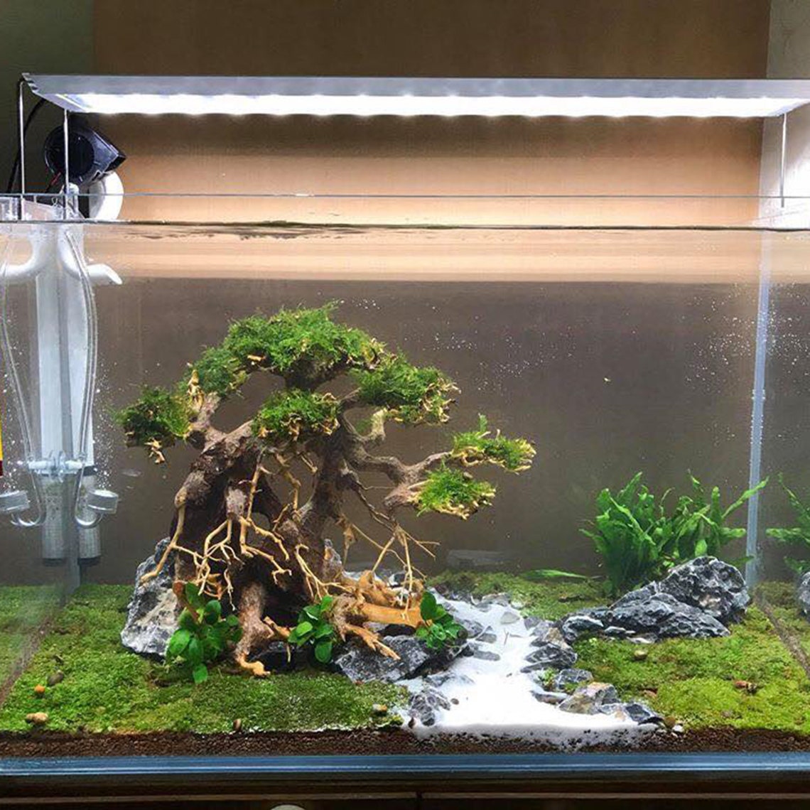 Aquarium Driftwood Bonsai Tree LBS11 Bonsai Drift Wood Art Etsy