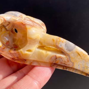 3&quot;+ natuurlijke gekke agaat gesneden kraai schedel, kwartskristal raaf schedel, kristallen kraai, kant agaat kraai schedel, reikigenezing, kerstcadeaus 1 st