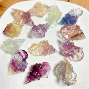 May include: A collection of colorful, translucent seashell sculptures in various sizes and hues, including yellow, purple, green, and blue. The shells are arranged on a white surface, showcasing their intricate details and natural forms.