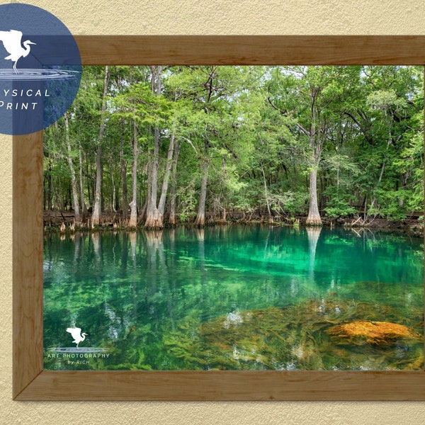 Manatee Springs, Natural Spring Wall Art, Suwannee River Art, Cypress Forest Photo, Old Florida Wall Art, Fine Art Photo, Ready to Frame