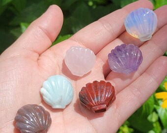May include: Six small, carved seashells made of various gemstones. The shells are in shades of pink, purple, white, green, red, and brown.
