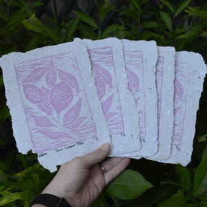 Sour Summer: Pink&quot;, on Handmade Paper, Limited Edition, Original Lino Print, Block Print,Illustration art,Original Art,Support Small Artists