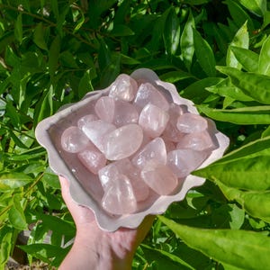 Gemmy Rose Quartz Tumbles ~ RAINBOW inclusions ~ (High Quality) ~ Rose Quartz ~ Consciously Sourced