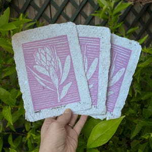 Contrast: Pink&quot;, on Handmade Paper, Limited Edition, Original Lino Print, Block Print, Illustration art, Original Art, Support Small Artists