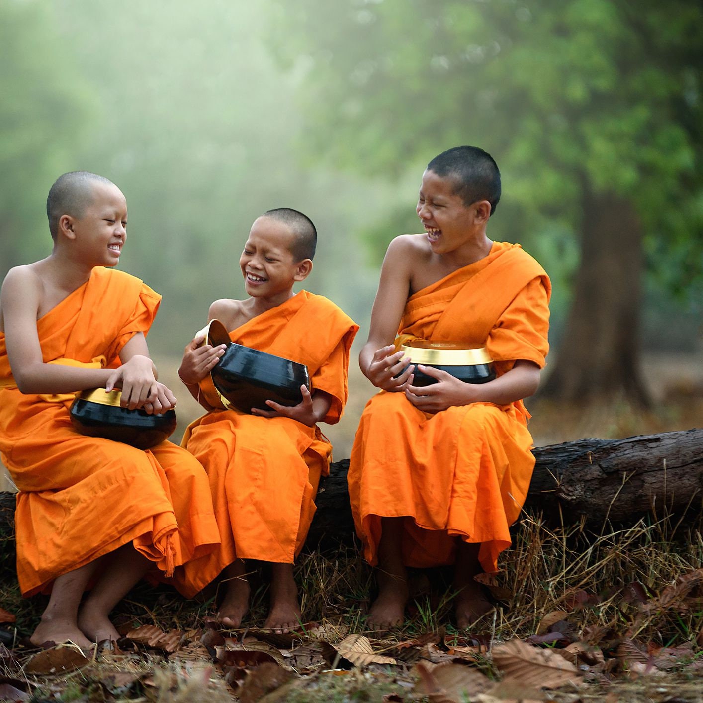 Что такое буддисты. Тхеравада-хинаяна. Буддийский монах Тхеравада. Буддизм монахи и Будда. Буддизм махаяна монахи.