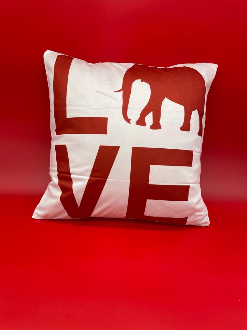 Delta Sigma Theta Decorative Pillow Covers Love