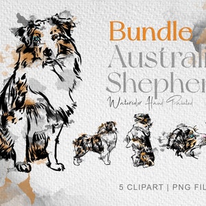 Australian shepherd clipart bundle , Australian shepherd png, Australian Shepherd watercolor dog illustration, dogs digital clip art