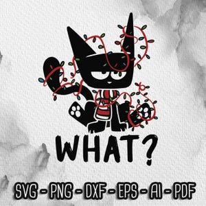 Cat What Funny Black Cat SVG, Funny Christmas zwarte kat svg, What Christmas Png, Funny Cat Lover Svg, Merry Christmas Png, digitale bestanden