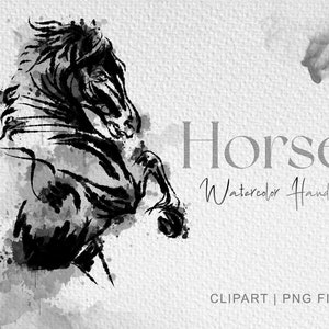 Wild Horse clipart, Watercolor Horse Clipart, Horse Art Printable, animal watercolor painting, animal clipart, Horse lover png, PNG file