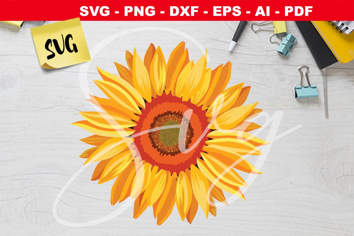 Free Free 241 Sunflower Waterslide Svg SVG PNG EPS DXF File