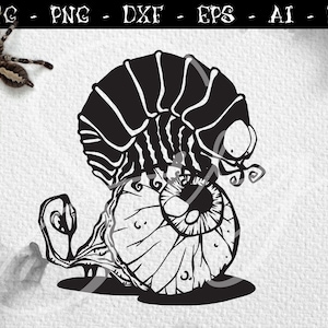 May include: Black and white illustration of a creepy, cartoon-style snail with a large eye and a segmented shell.