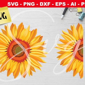 Free Free 95 Sunflower Waterslide Svg SVG PNG EPS DXF File