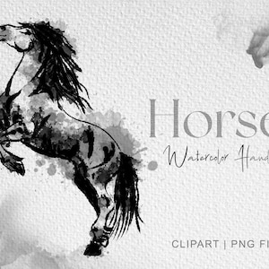 Standing Horse clipart, watercolor horse clipart, Horse Art Printable, animal watercolor painting, animal clipart, Horse lover png