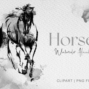 Paard clipart, Aquarel Paard Clip art, Paard Art Afdrukbaar, dier aquarel schilderij, dier clipart, PNG Afbeeldingen Transparante Achtergrond